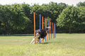 Trixie Dog Activity Agility Slalom Stokken Blauw / Oranje
