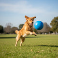 Jolly Soccer Ball Blauw